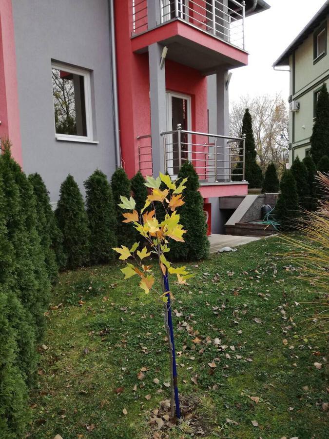 Stela Et Luna Veliko Gradište Exterior foto